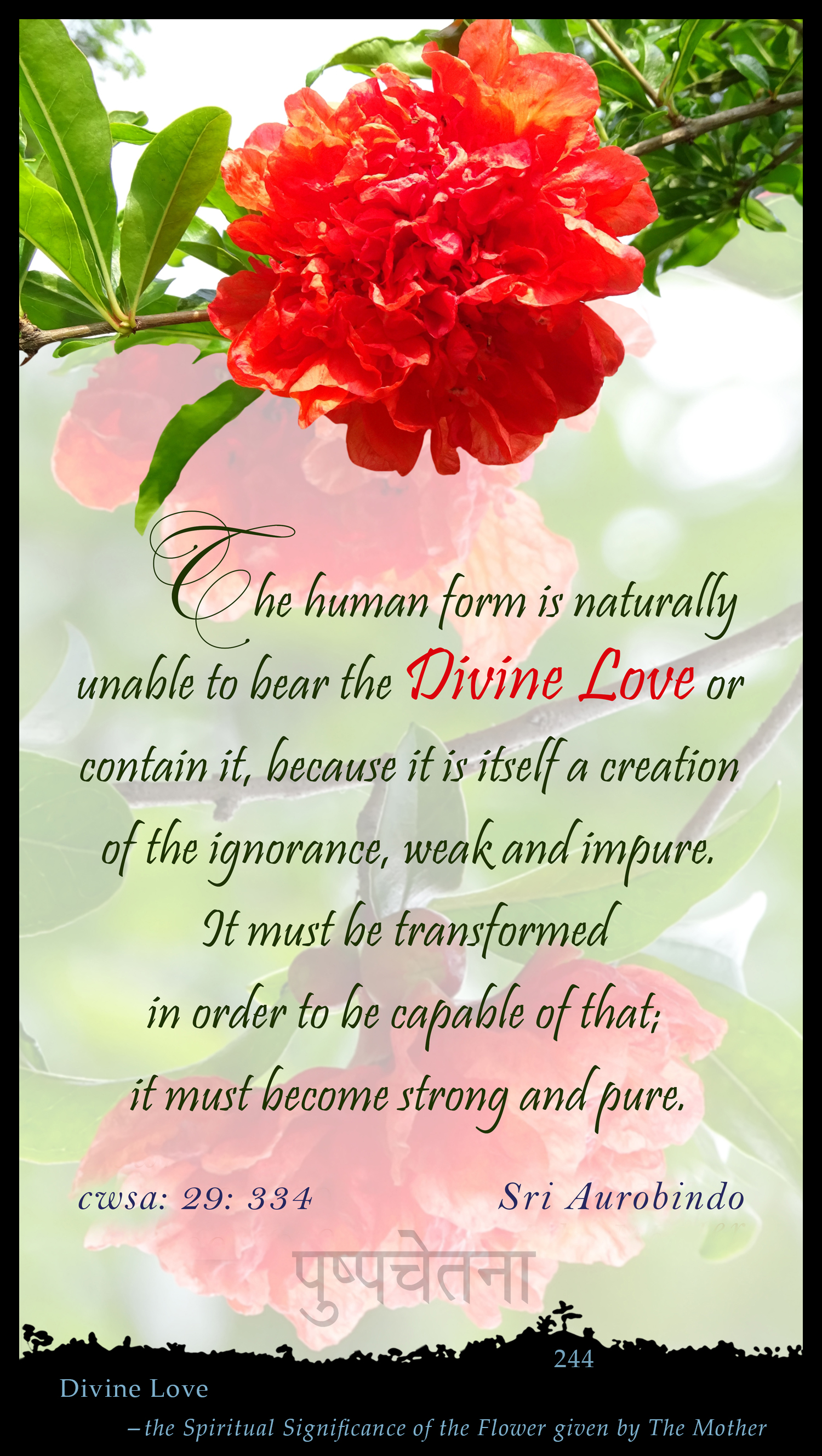 Divine Love